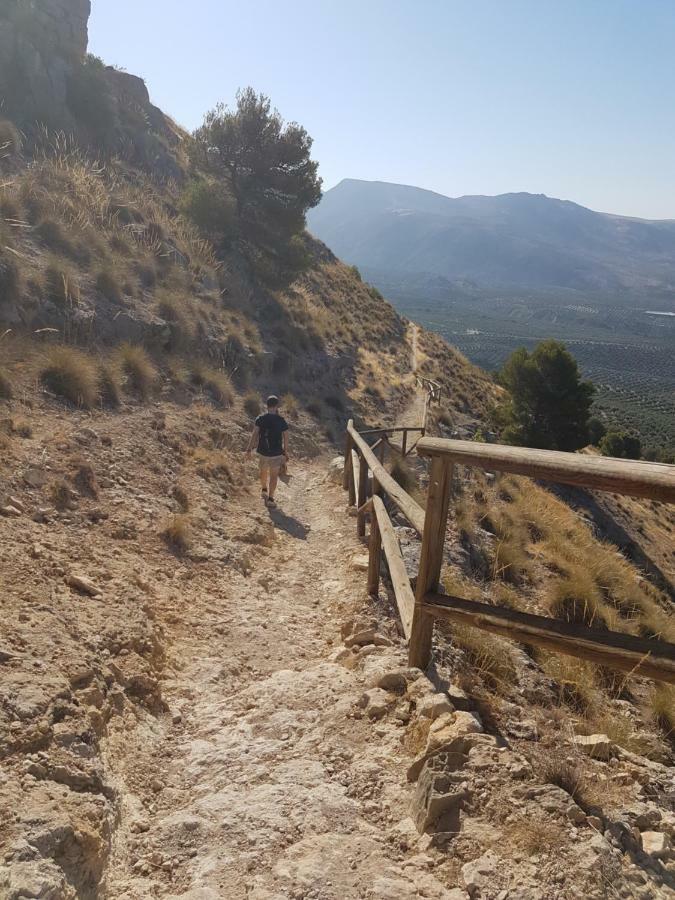Apartamentos Rurales La Dehesa Del Acebuche Jaén Esterno foto