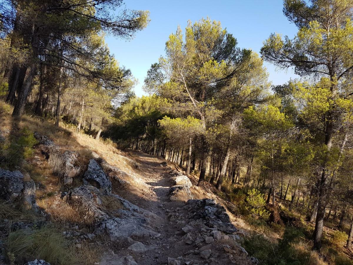 Apartamentos Rurales La Dehesa Del Acebuche Jaén Esterno foto