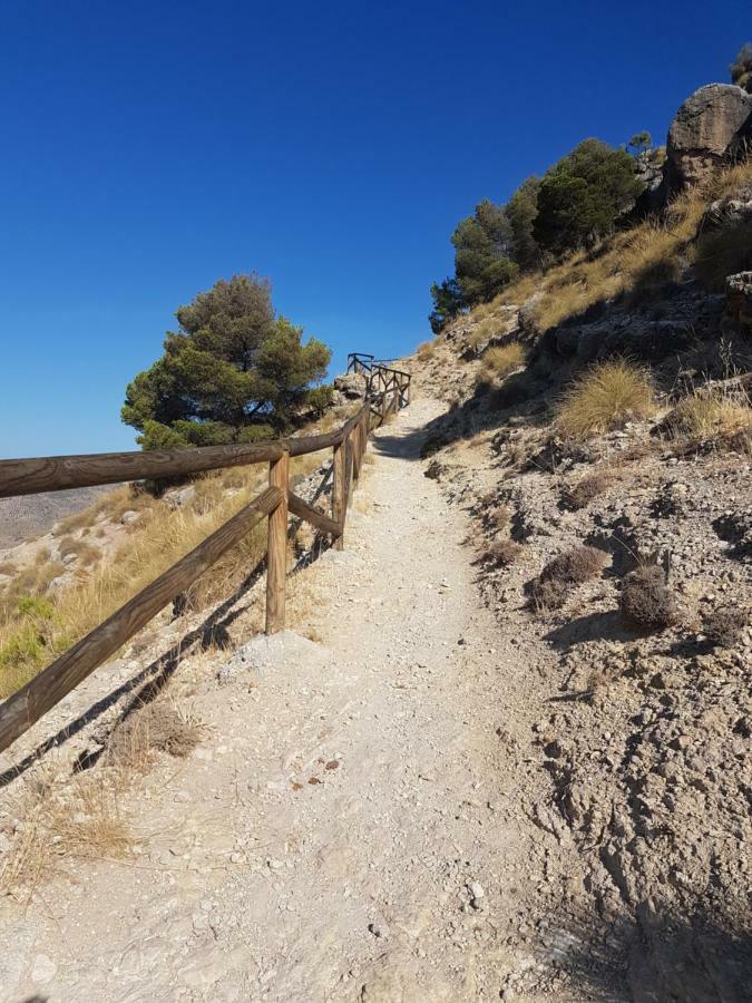 Apartamentos Rurales La Dehesa Del Acebuche Jaén Esterno foto