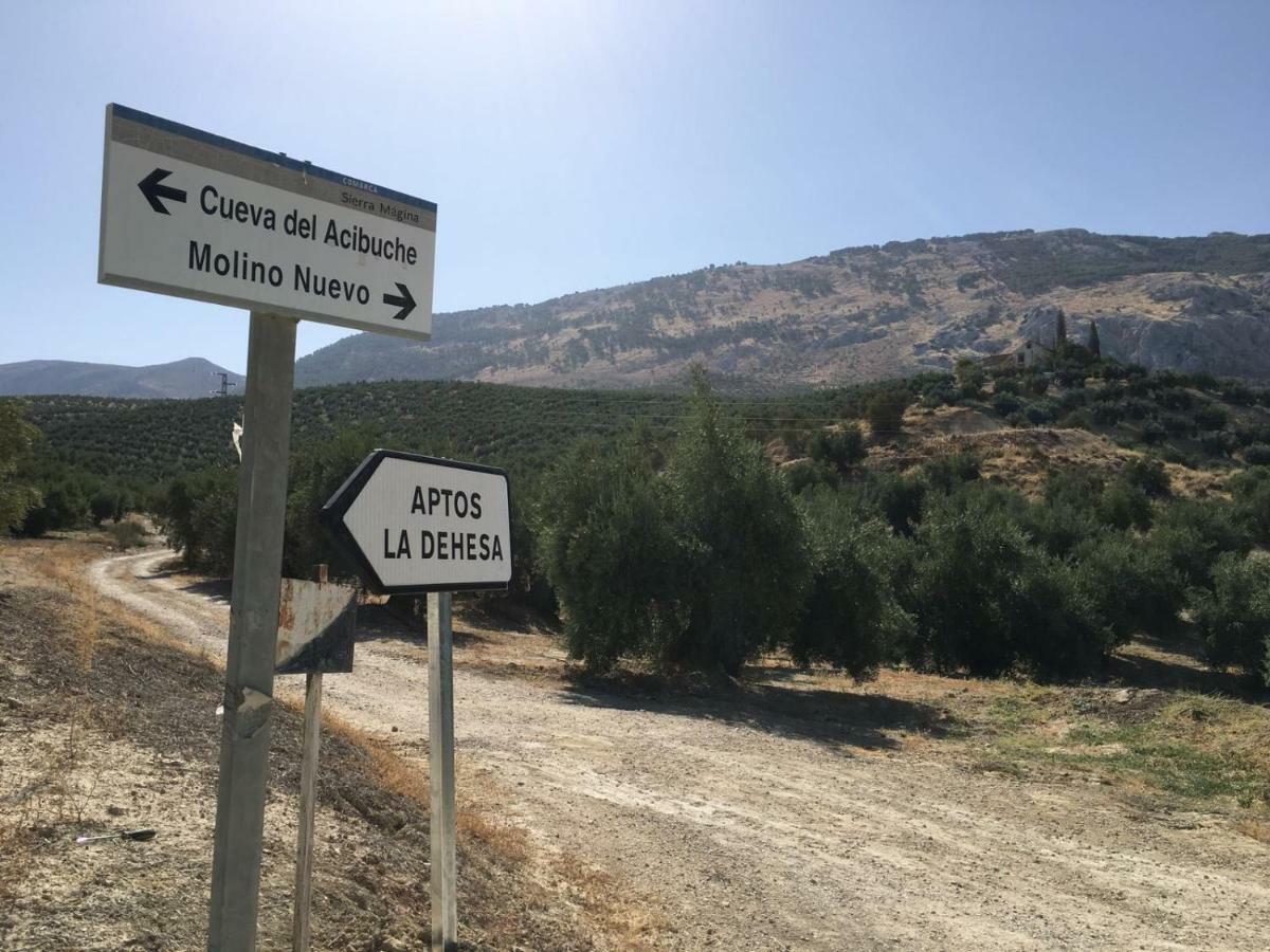 Apartamentos Rurales La Dehesa Del Acebuche Jaén Esterno foto