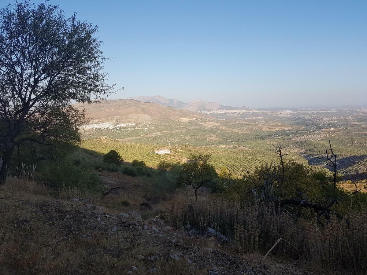 Apartamentos Rurales La Dehesa Del Acebuche Jaén Esterno foto